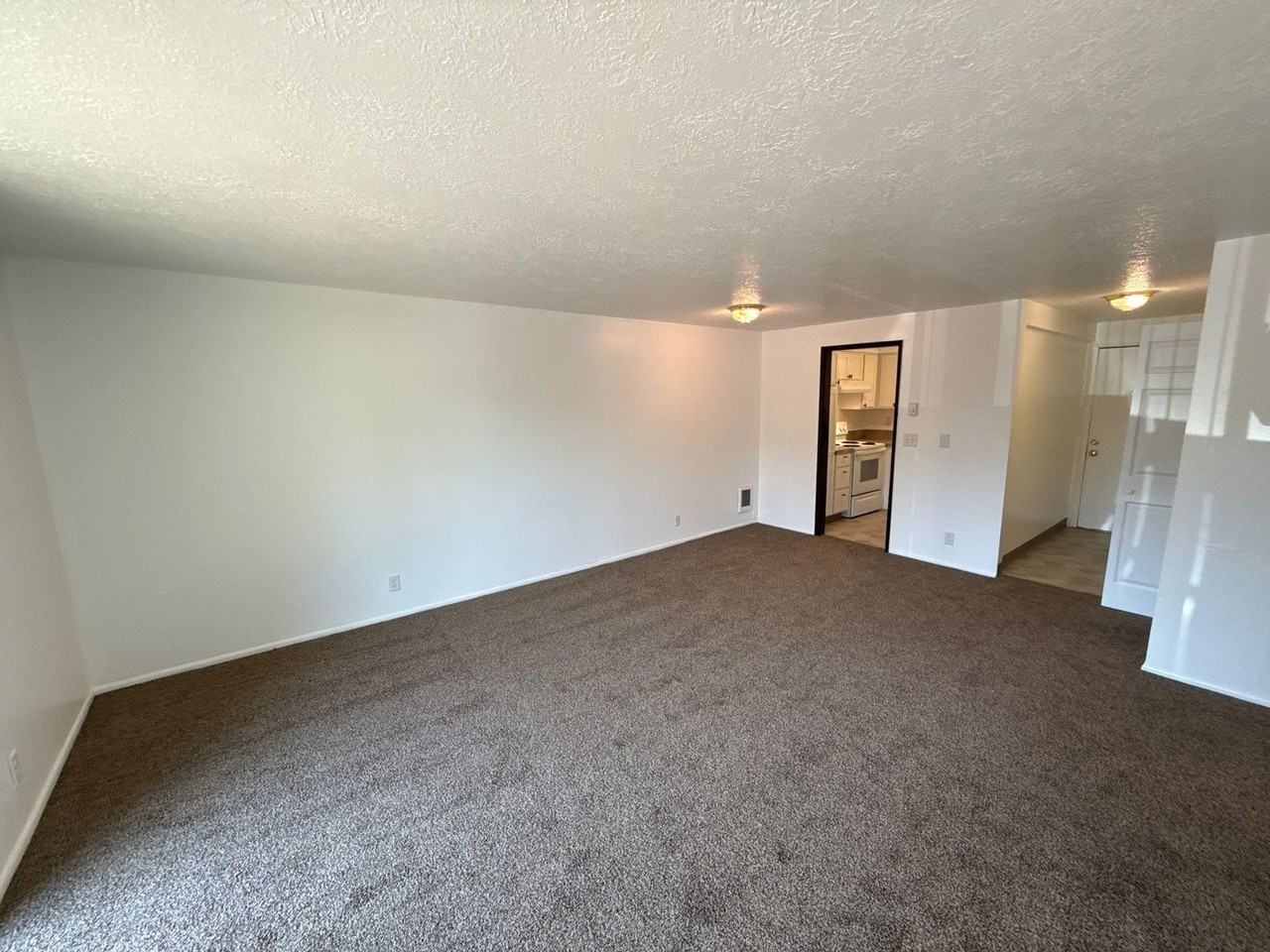 1828 Liberty St Ne - Photo 4 of 19