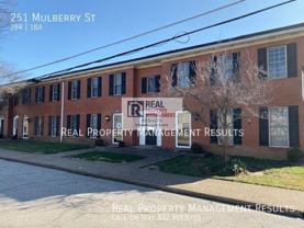 251 Mulberry St - Photo 1 of 1