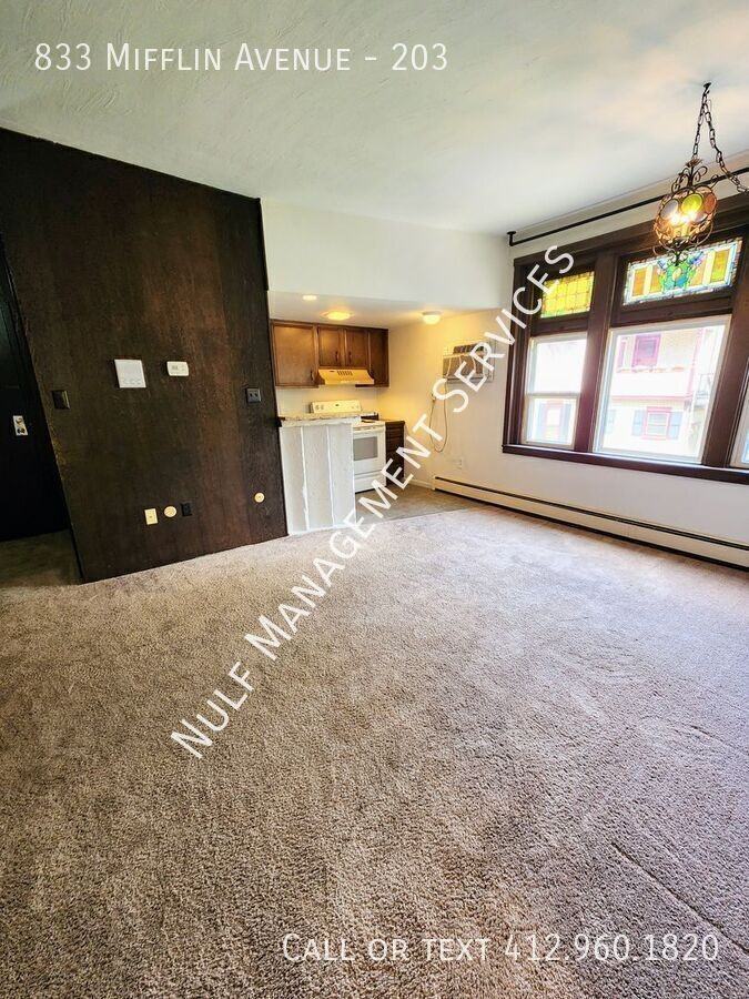 833 Mifflin Ave #203 - Photo 3 of 6