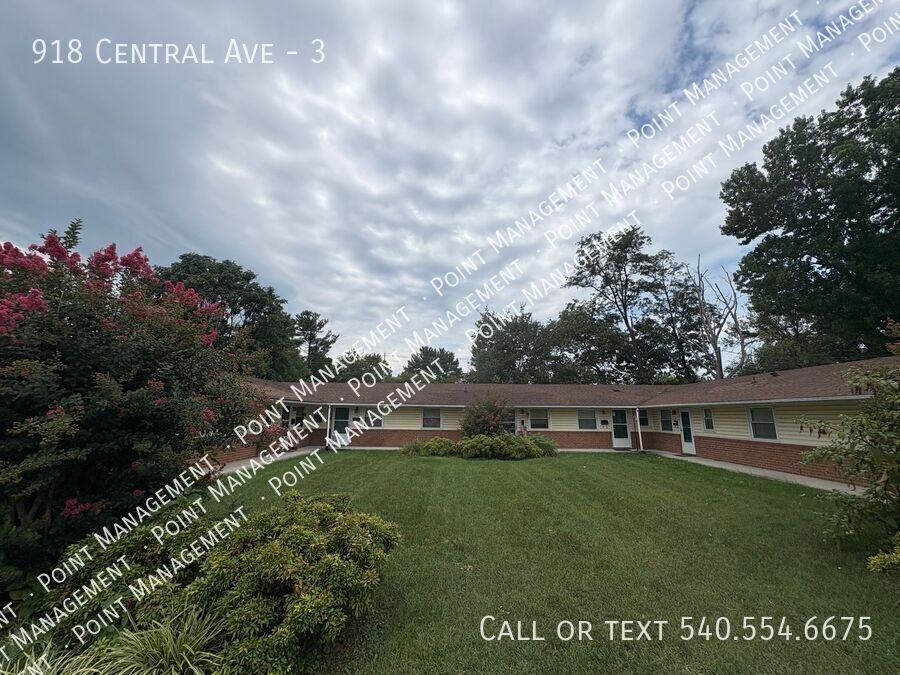 918 Central Ave #3