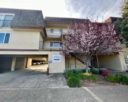 featured image of 1851 Salem Ave #24