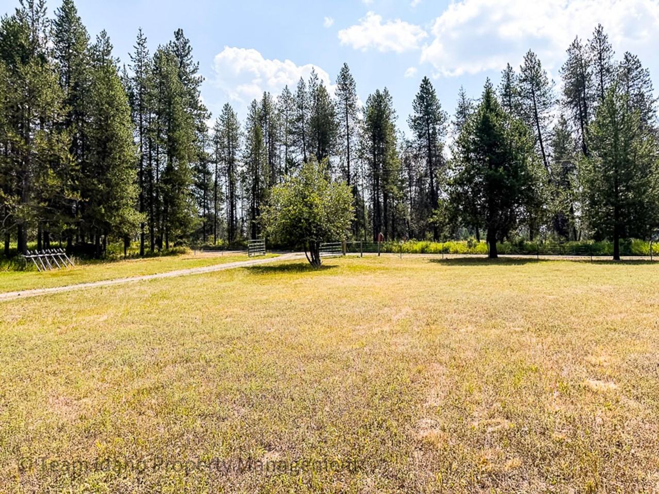 317 Elkhorn Meadows Rd - Photo 4 of 20