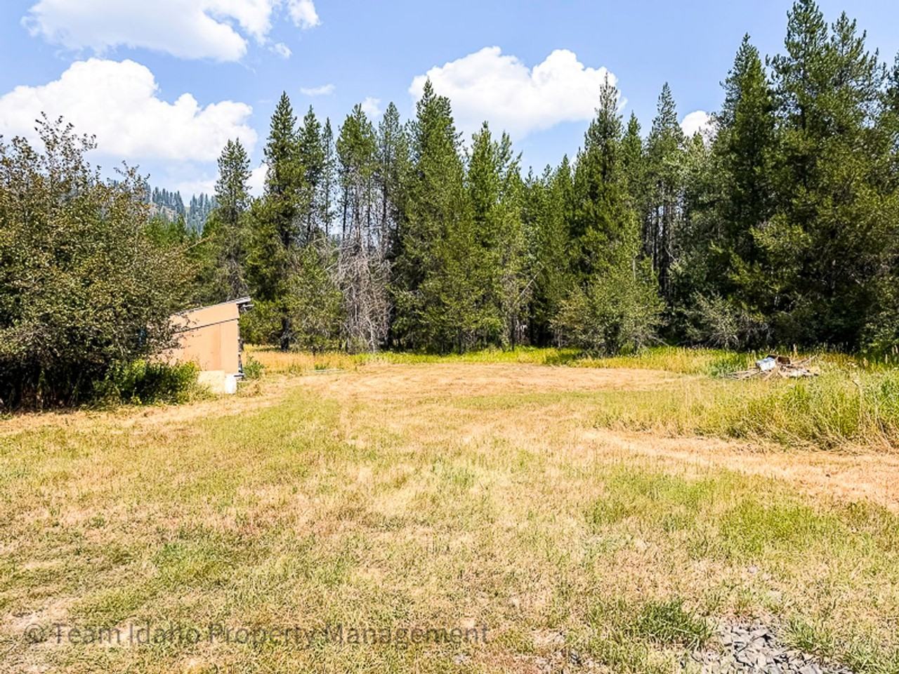 317 Elkhorn Meadows Rd - Photo 6 of 20