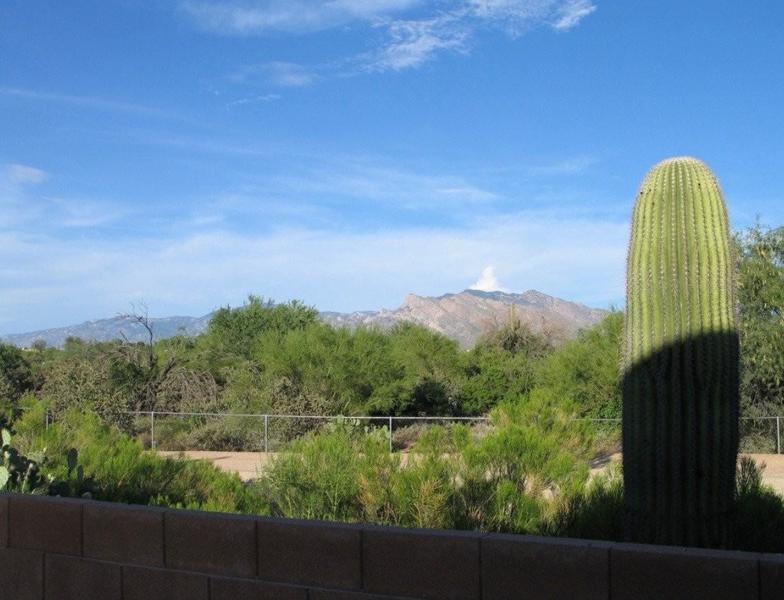 3615 W Sunglade Dr - Photo 3 of 5