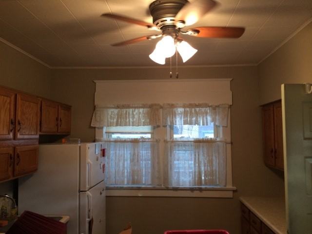 212 Noble Street, Unit Downstairs - Photo 4 of 9