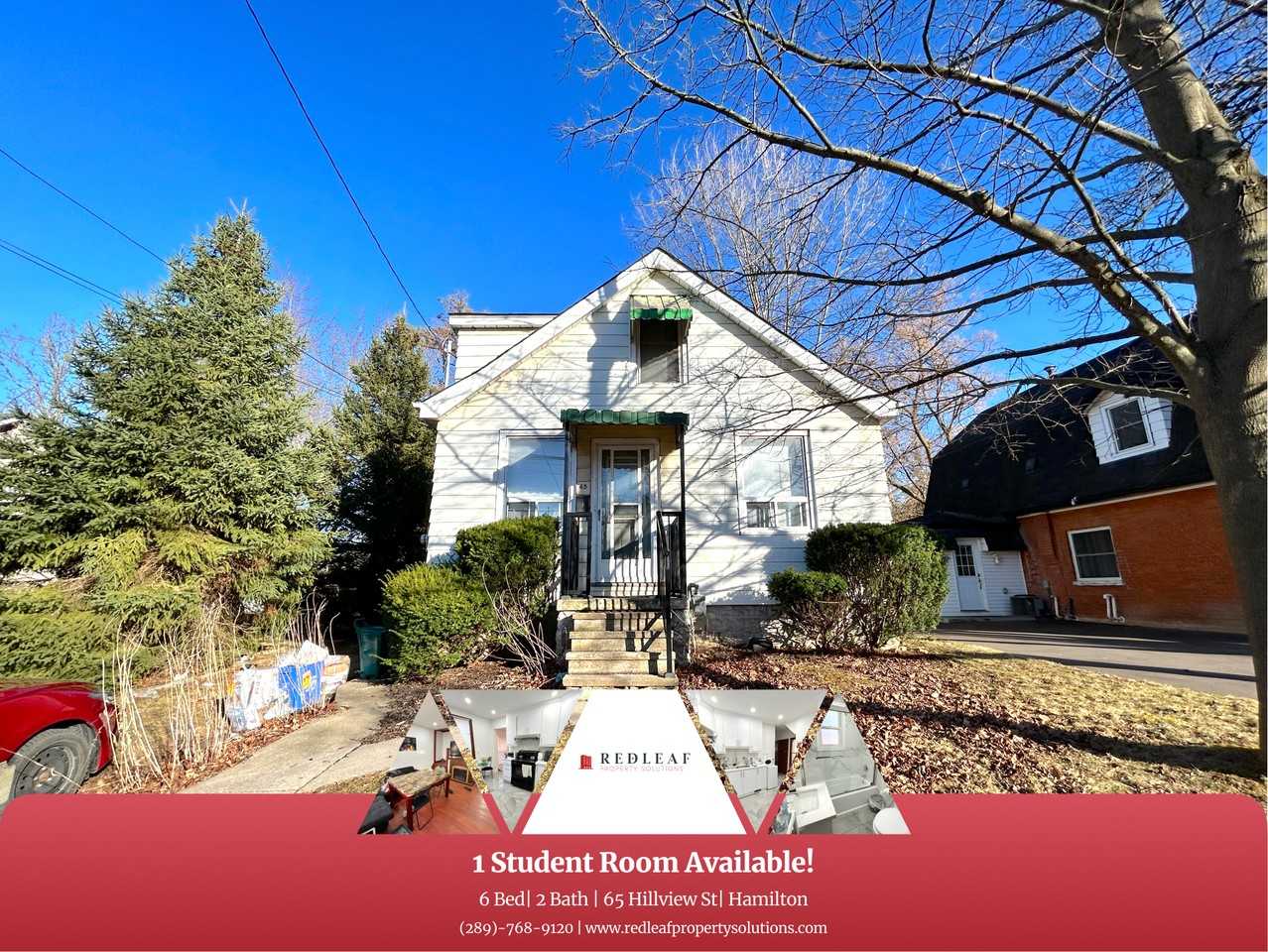 65 Hillview Street - Photo 6 of 13