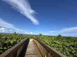featured image of 2700 N Highway A1a