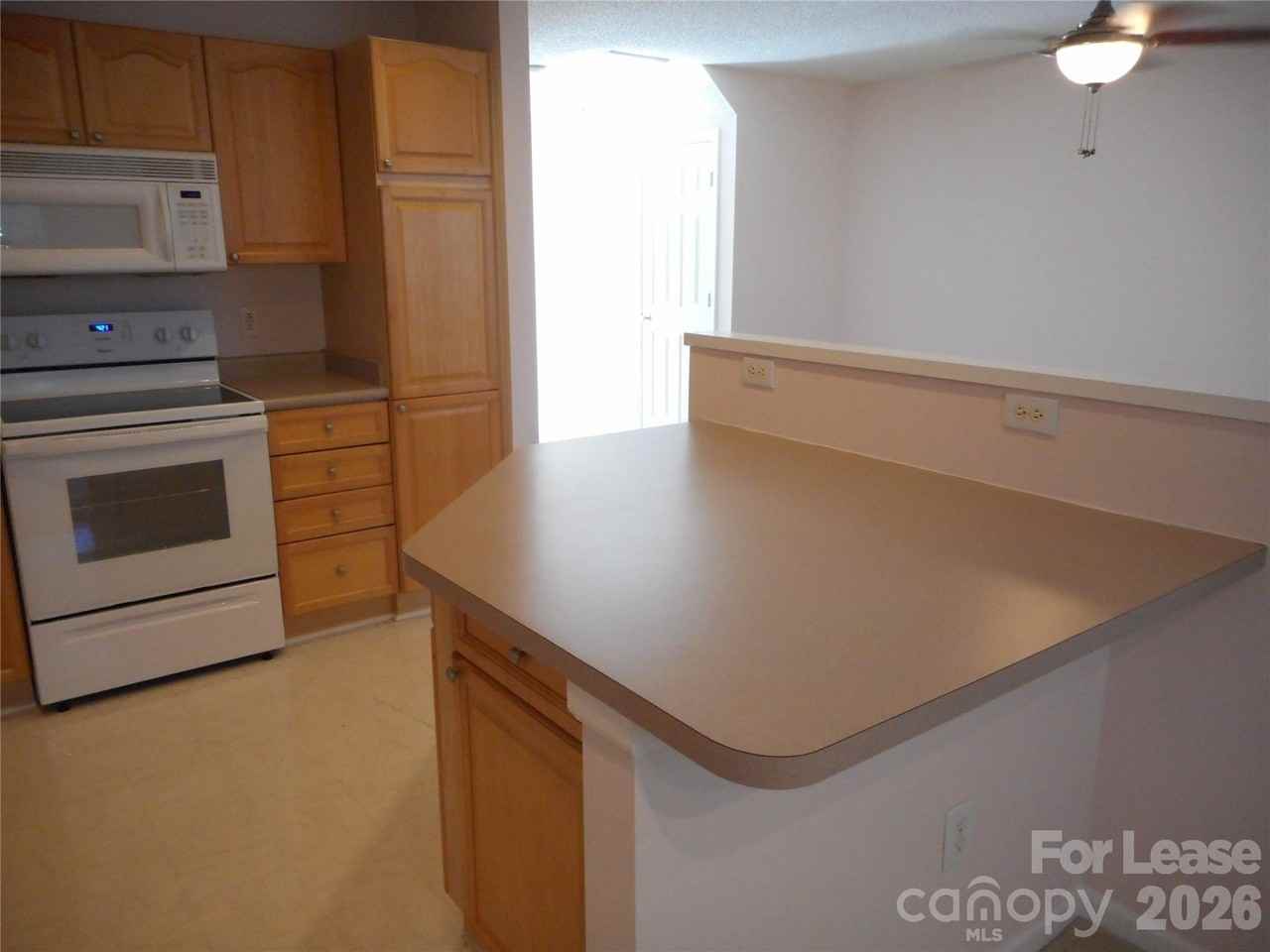 9629 Elizabeth Townes Ln - Photo 4 of 16
