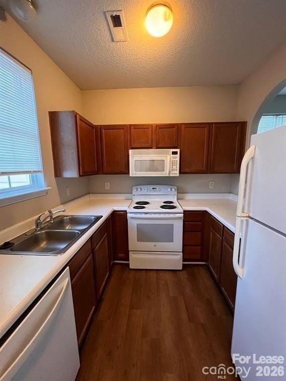 428 Goldstaff Ln - Photo 7 of 17