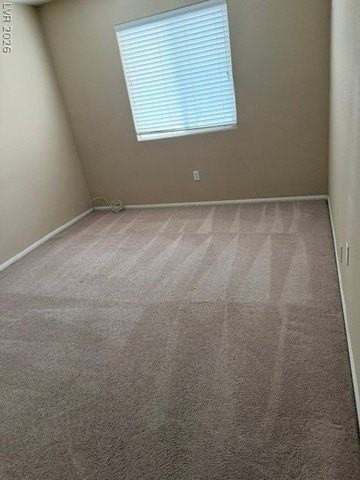 11249 Alga Ct - Photo 6 of 19