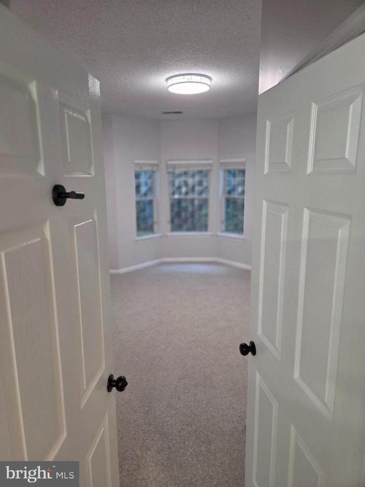 1303 Sandwort Ct - Photo 5 of 16