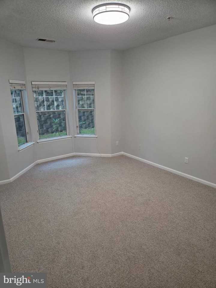 1303 Sandwort Ct - Photo 6 of 16