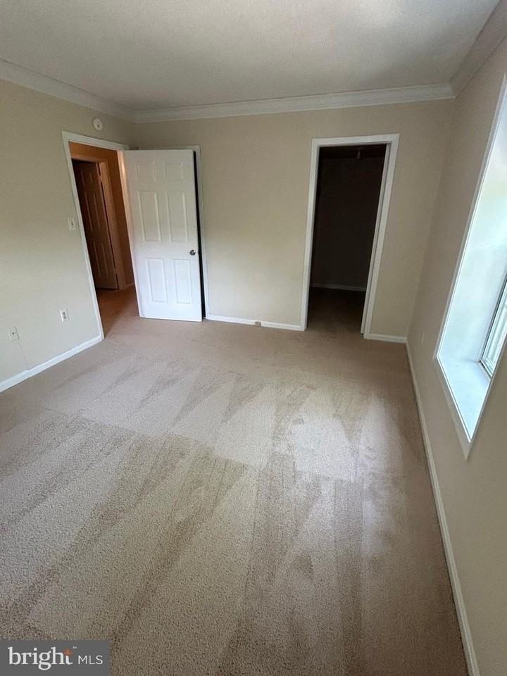 941 S Rolfe St - Photo 5 of 18