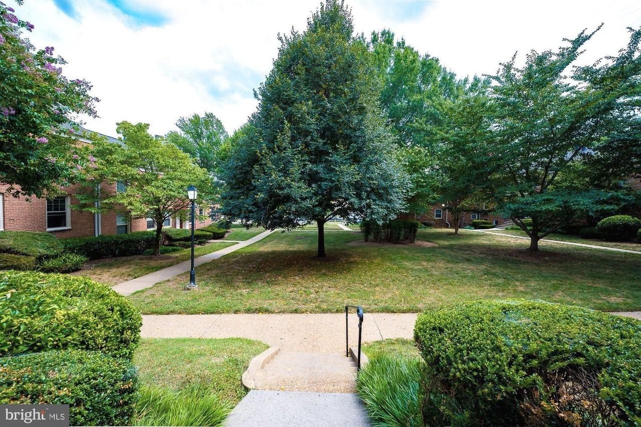 2805 Arlington Blvd - Photo 2 of 21