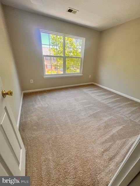2037 Cotton Tail Dr - Photo 7 of 16