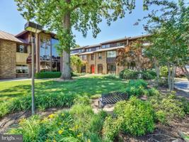 featured image of 311 Maple Ave W
