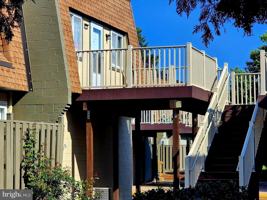 featured image of 3815 Monte Vista Pl