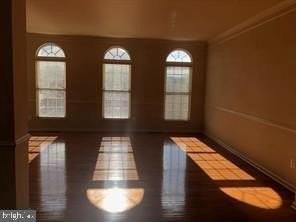 43686 Hamilton Chapel Ter - Photo 6 of 24