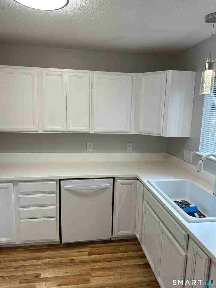 550 Darling St - Photo 6 of 19