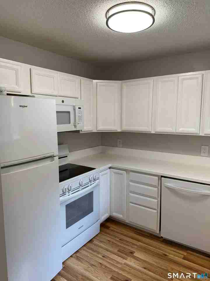 550 Darling St - Photo 7 of 19