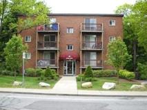 49 Sumner St - Photo 1 of 1