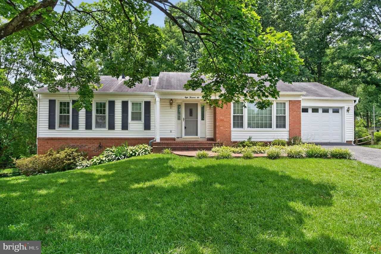 8006 Lady Lewis Ct