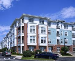 featured image of Repton Cir #5409