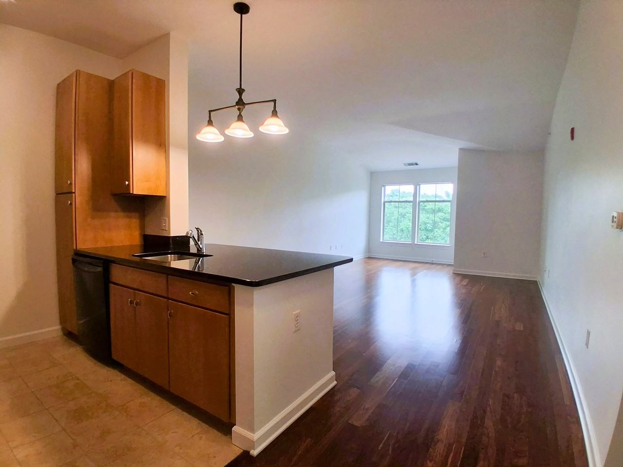 Repton Cir #5409 - Photo 2 of 31