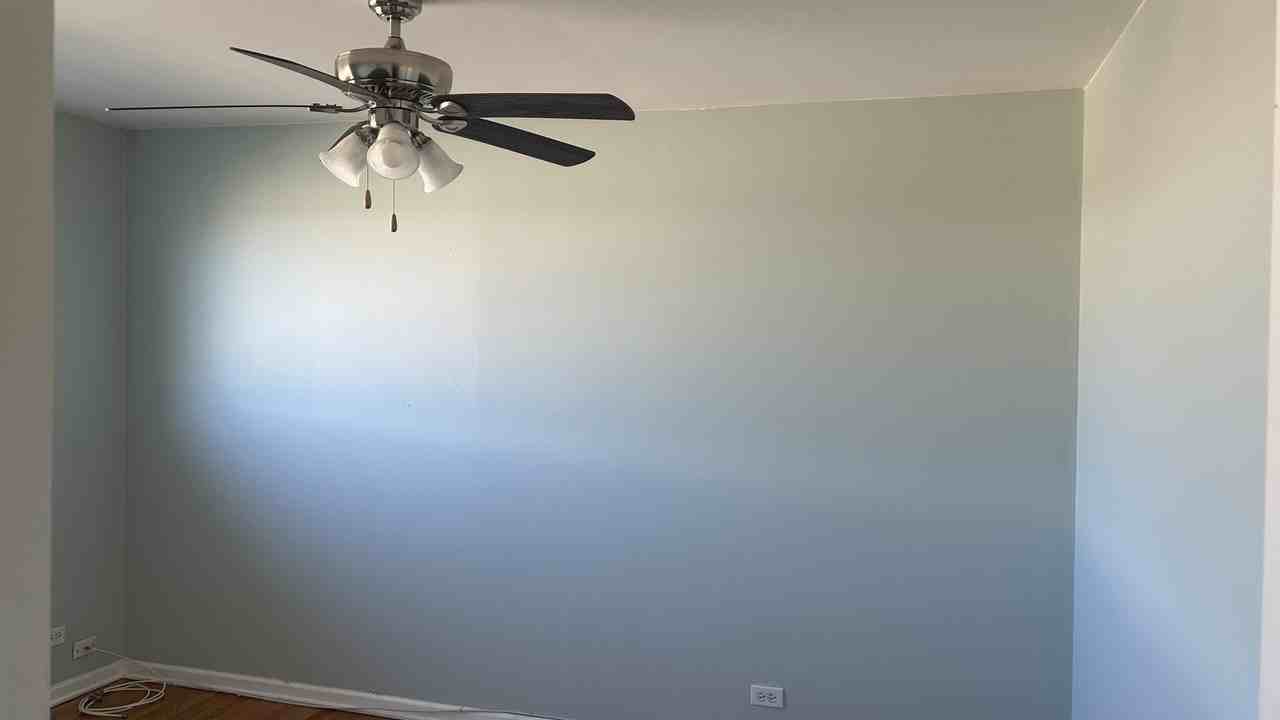 8658 Gregory Ln Apt C - Photo 7 of 15