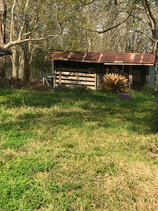 1383 Eugene Soileau Rd - Photo 4 of 12