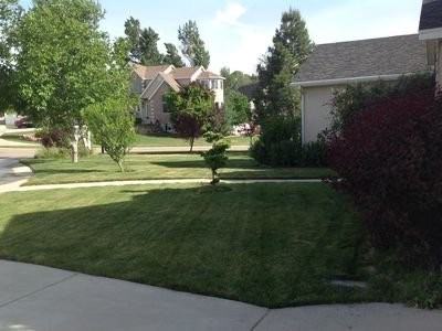 12481 S Allison Park Ct - Photo 3 of 15