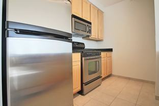 350 N Desplaines St #3204 - Photo 1 of 1