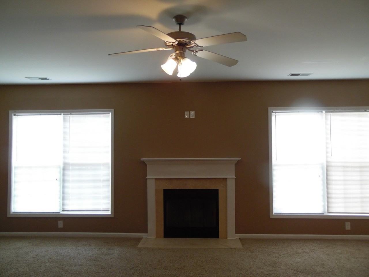 541 Bulrush Trce - Photo 5 of 15