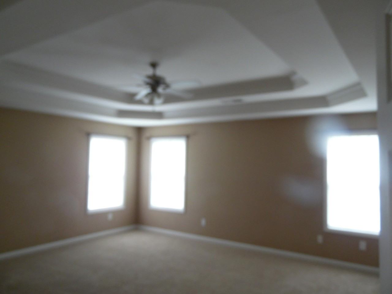 541 Bulrush Trce - Photo 7 of 15