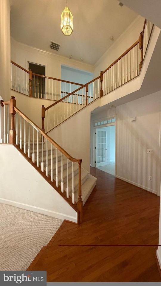 12525 Cerromar Pl - Photo 7 of 29