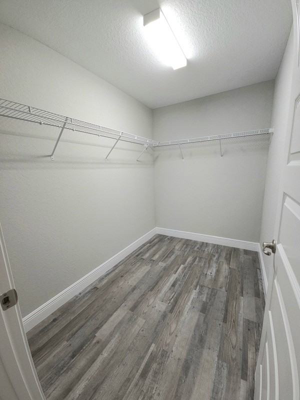 312 Locust Pass - Photo 6 of 12