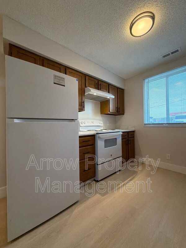 515 W Saunders Ave #1 - Photo 3 of 17