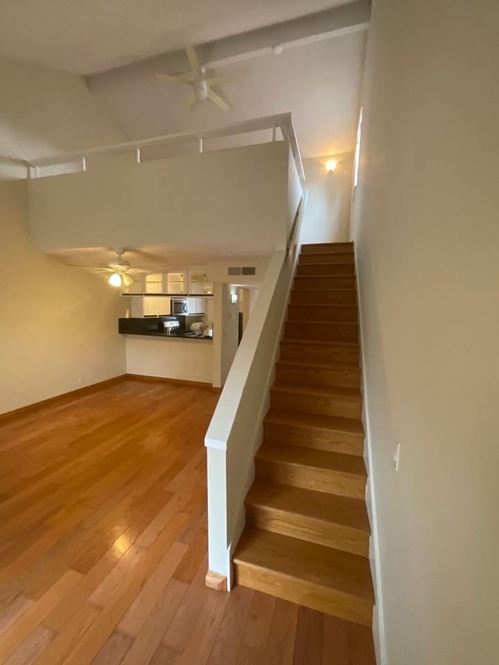 147 Lemon Grv - Photo 4 of 23