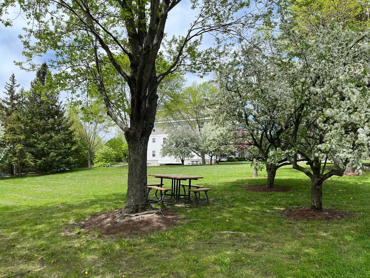 Olde Orchard Park - Photo 3 of 3