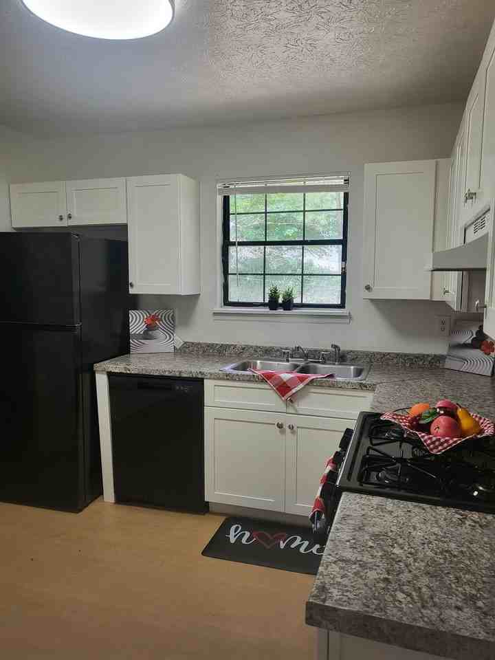 4376 Raven Valley Ct - Photo 4 of 22