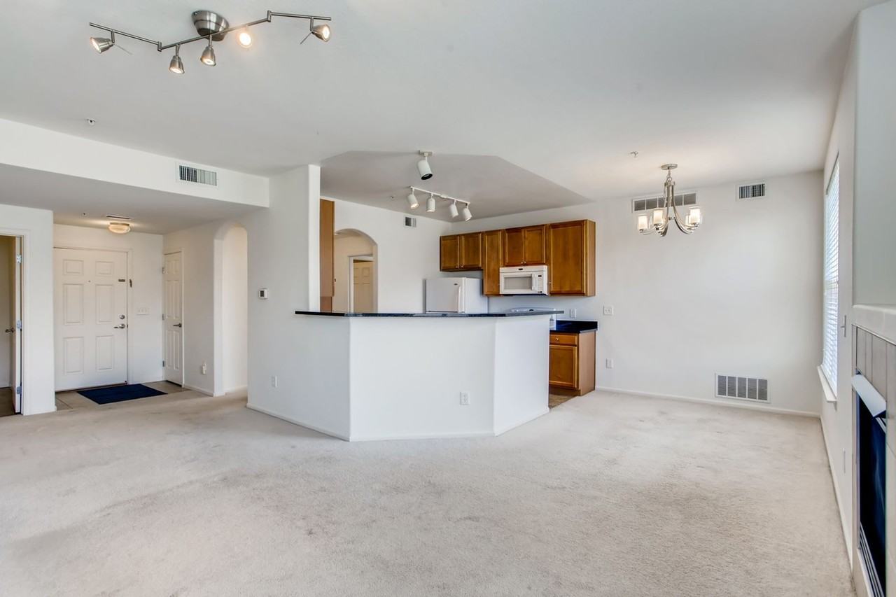 1450 Blue Sky Way #12-208 - Photo 4 of 25