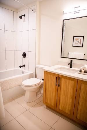 Solaro 22304 50th Ave, Unit A313 - Photo 6 of 20