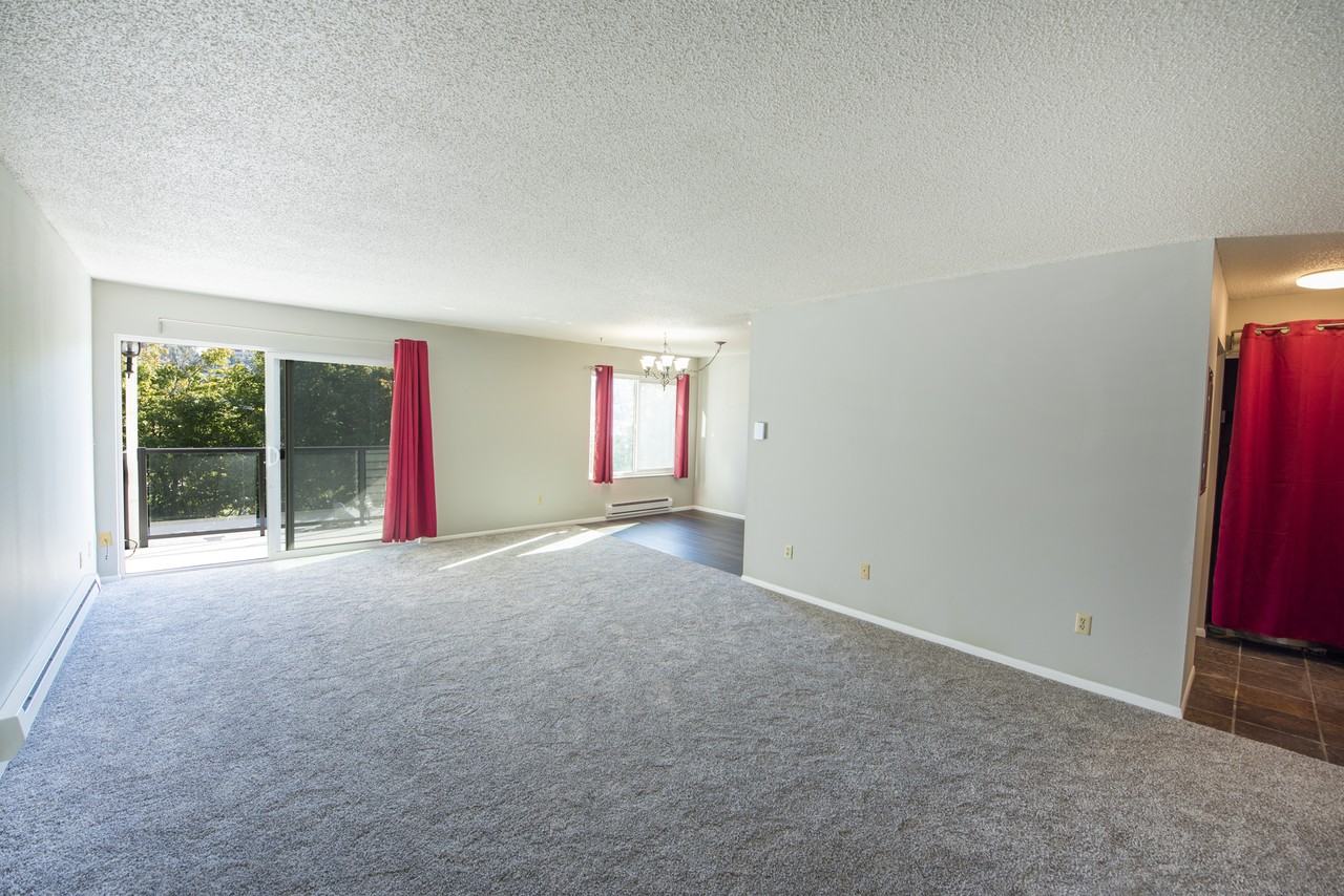 2562 Thorndyke Ave W #1 - Photo 3 of 21
