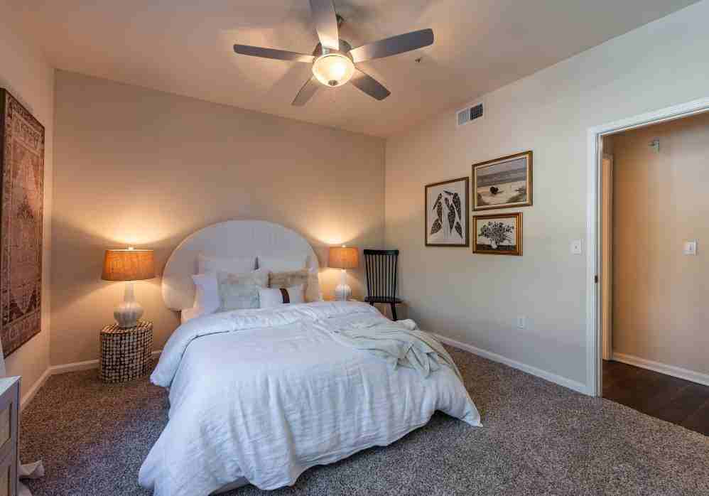 25330 Silver Aspen Way - Photo 7 of 24