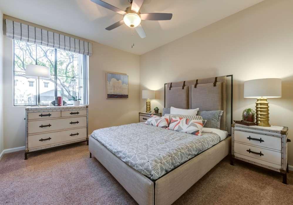 25330 Silver Aspen Way - Photo 7 of 24