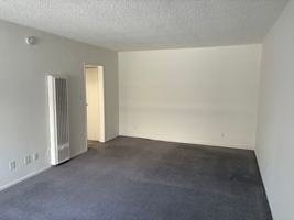 featured image of 11931 Dorothy St