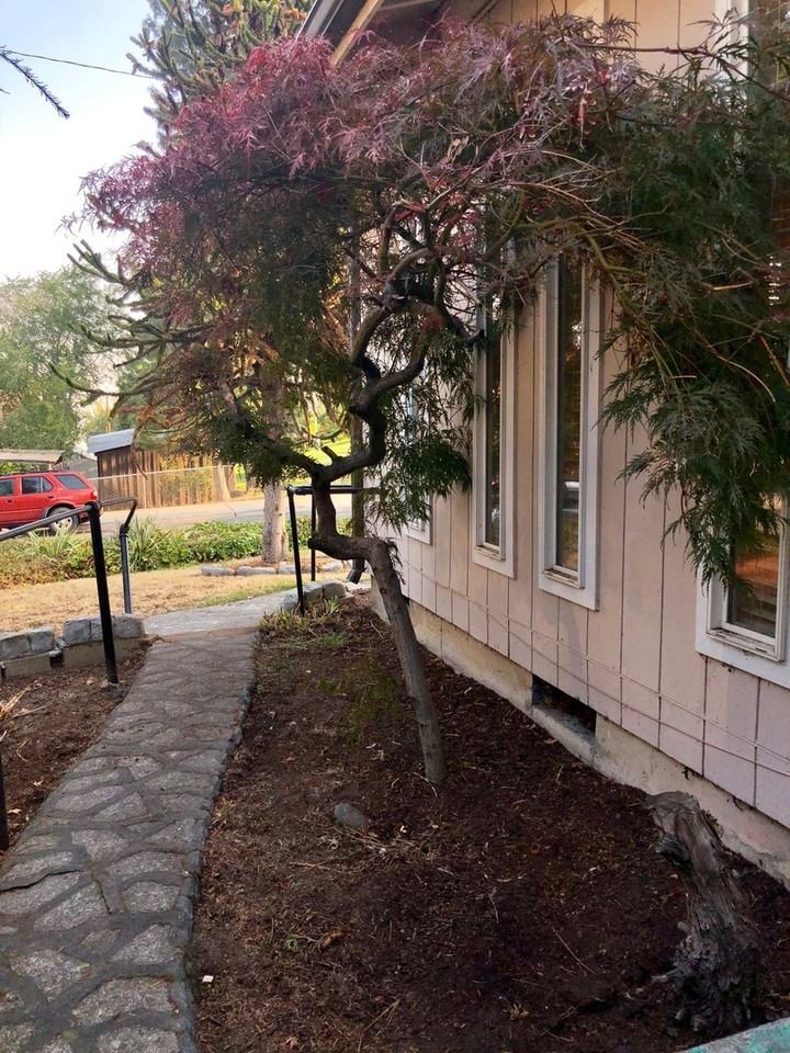 514 W 16th St - Photo 7 of 16