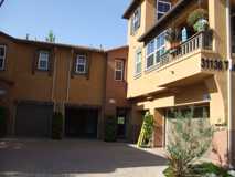 31136 Strawberry Tree Ln - Photo 1 of 1