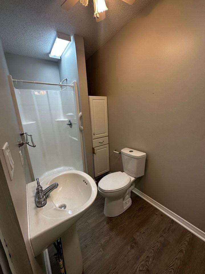 742 Old Sulphur Springs Rd - Photo 7 of 40