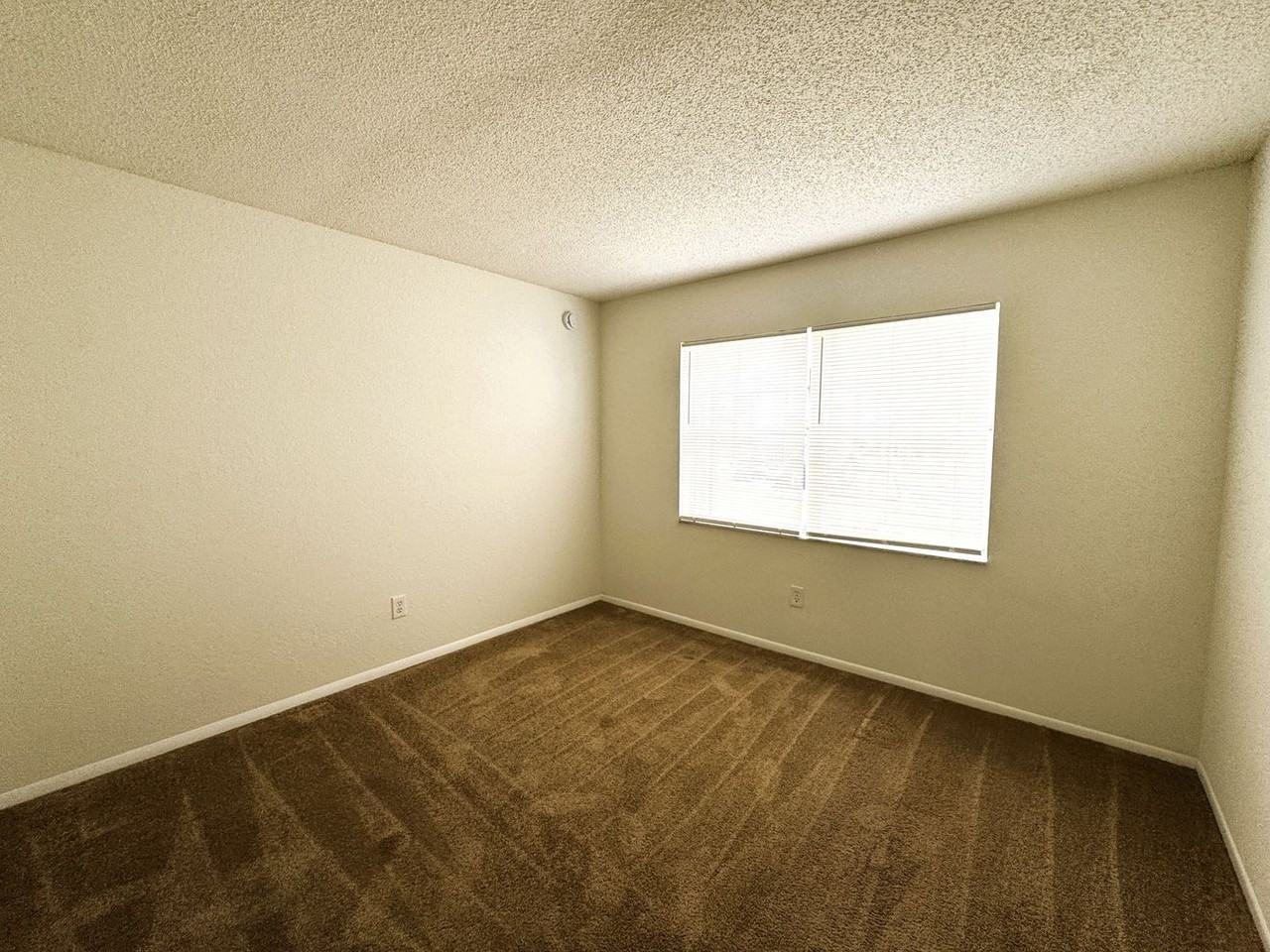 25100 Sandhill Blvd Bldg M #104 - Photo 7 of 26